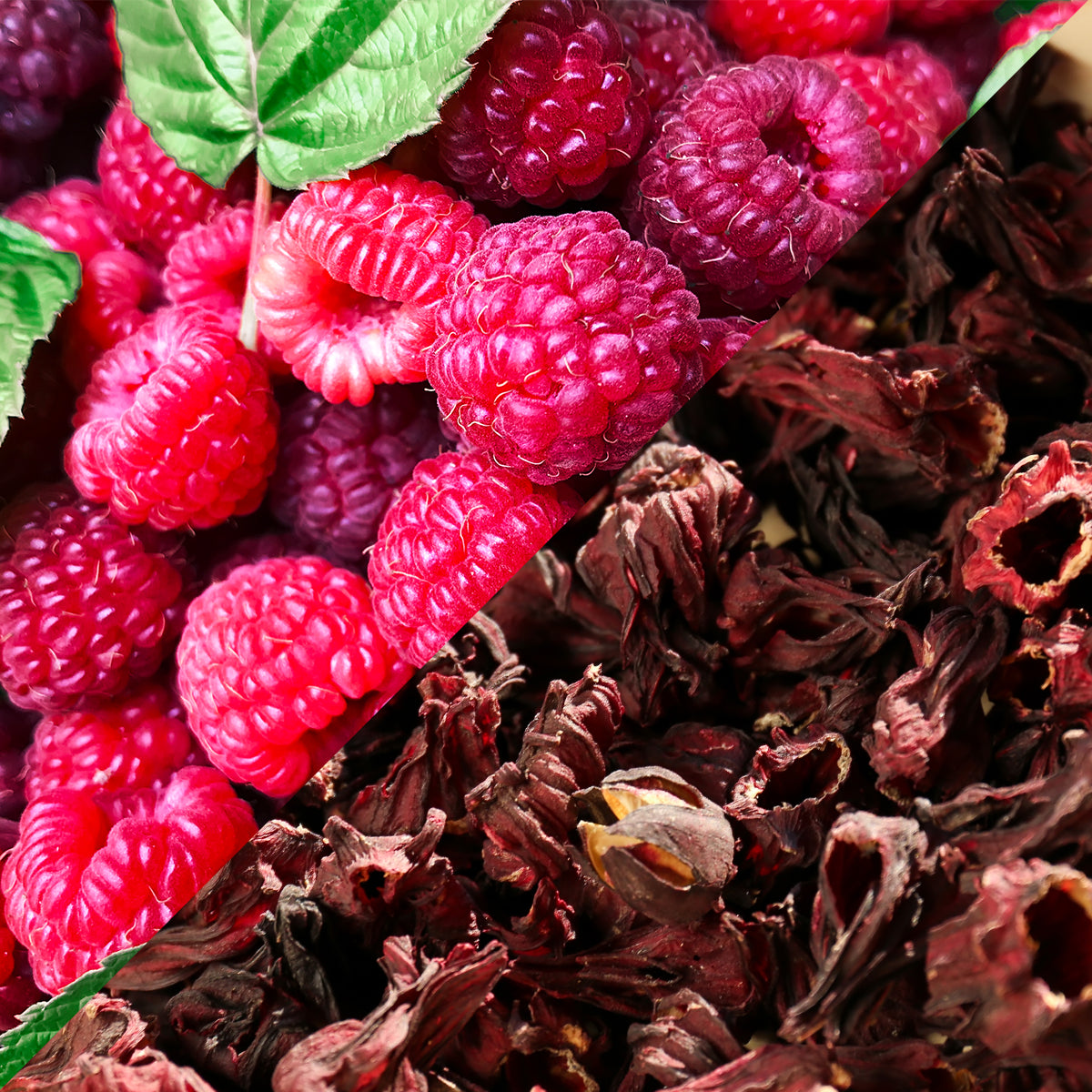 Raspberries Hibiscus